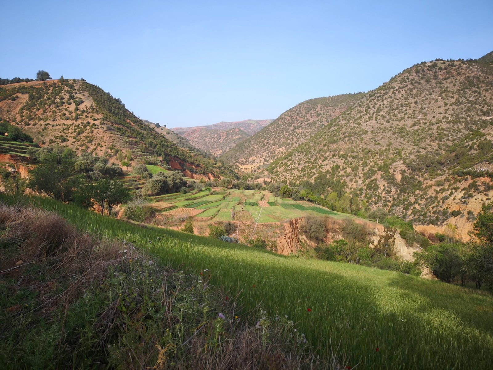 Vue sur les montagnes du Rif