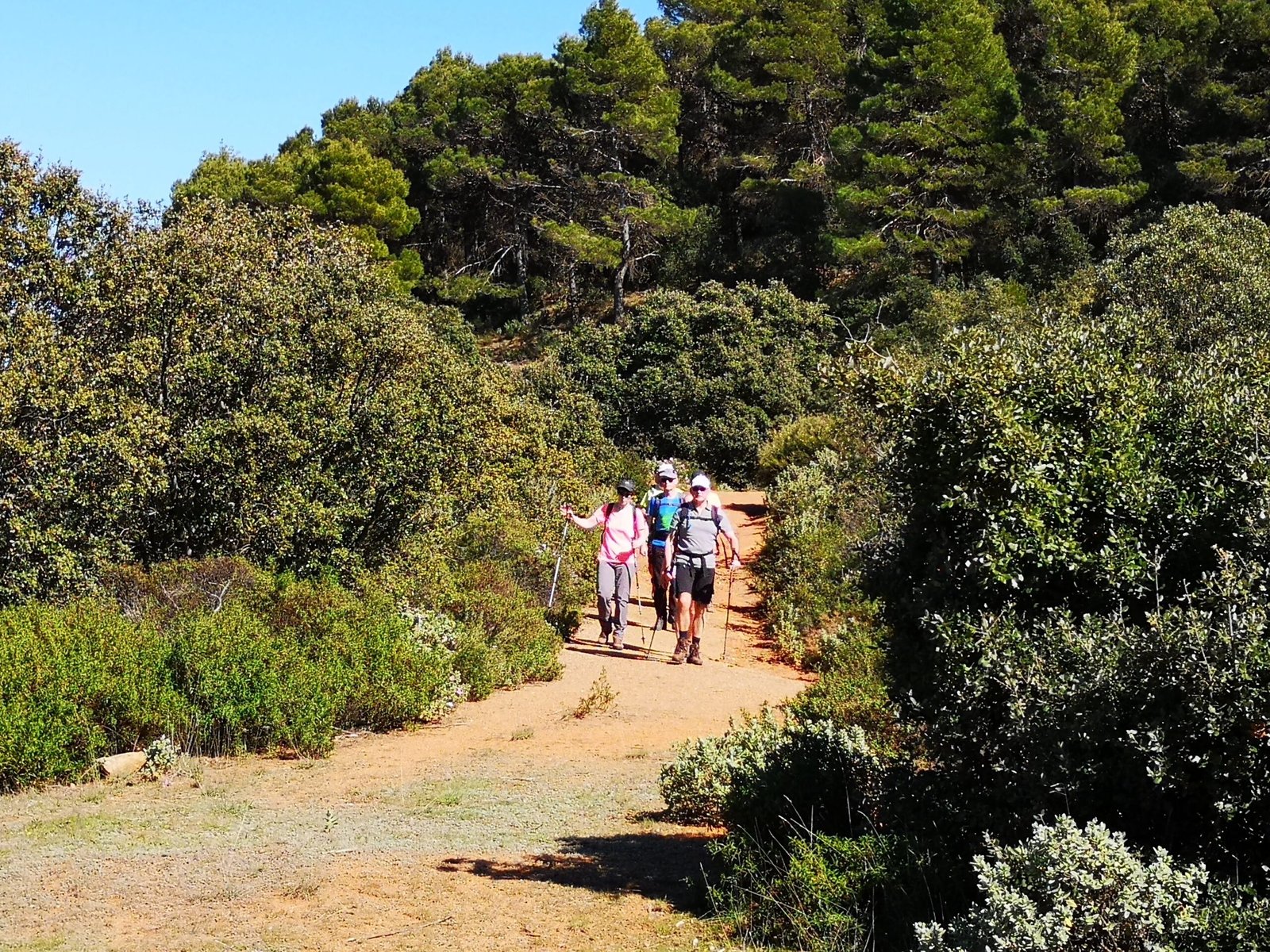 Trekking en montagne